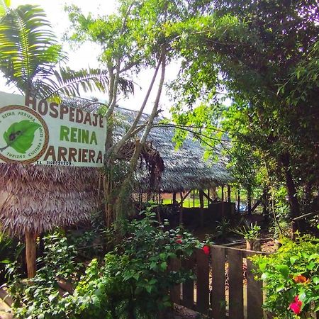 Hospedaje Y Tours Reina Arriera Amazonas Colombia Macedonia Екстер'єр фото