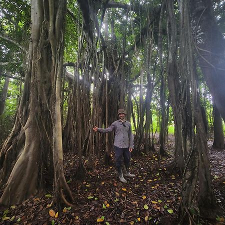 Hospedaje Y Tours Reina Arriera Amazonas Colombia Macedonia Екстер'єр фото
