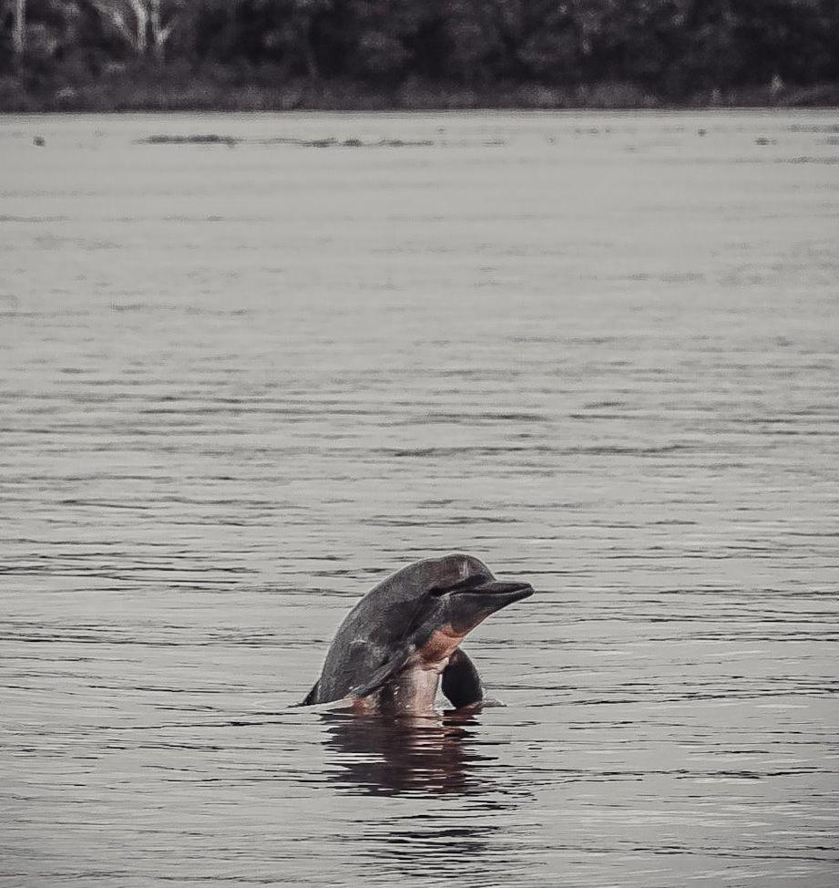Hospedaje Y Tours Reina Arriera Amazonas Colombia Macedonia Екстер'єр фото
