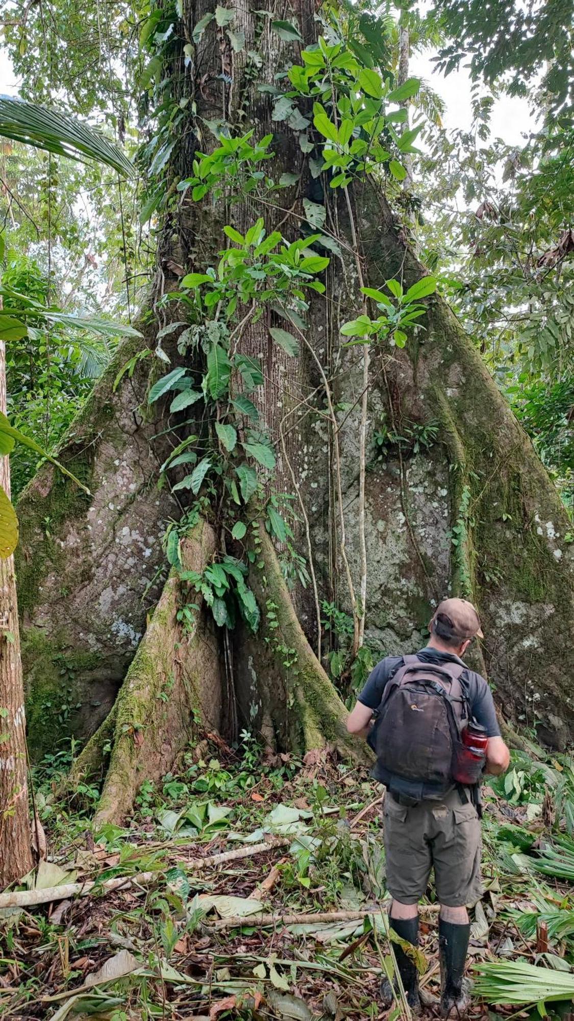 Hospedaje Y Tours Reina Arriera Amazonas Colombia Macedonia Екстер'єр фото