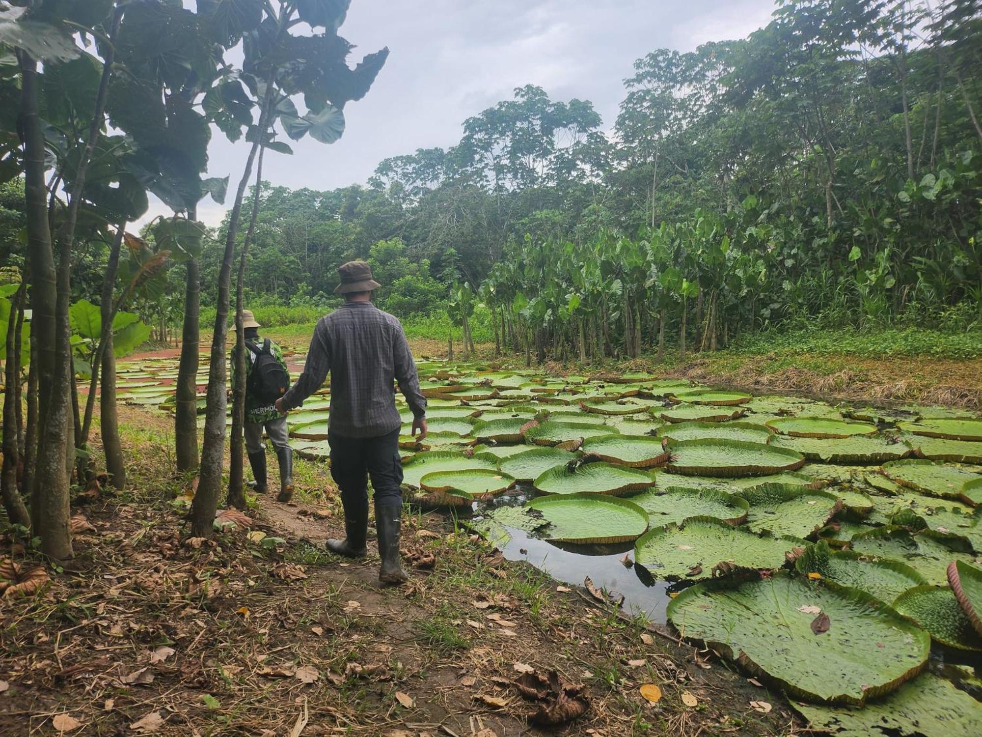 Hospedaje Y Tours Reina Arriera Amazonas Colombia Macedonia Екстер'єр фото