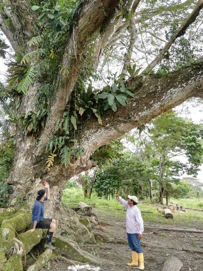 Hospedaje Y Tours Reina Arriera Amazonas Colombia Macedonia Екстер'єр фото